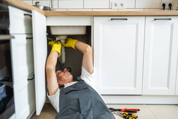 Best Commercial Plumbing Services  in Elko, NV