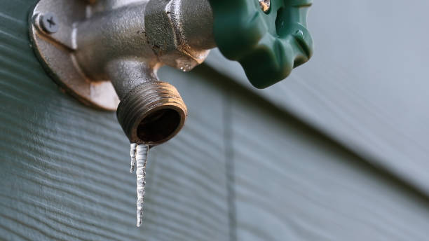 Best Affordable Plumbing Services  in Elko, NV